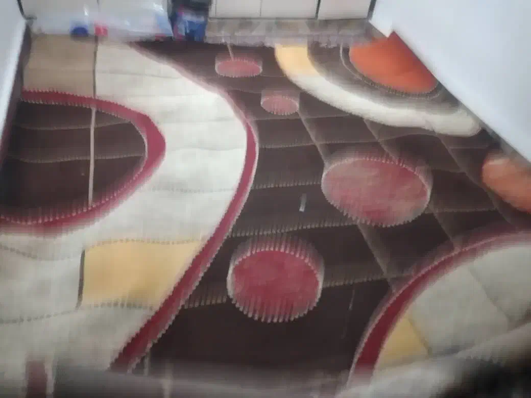 قالی|فرش|باوی, |دیوار