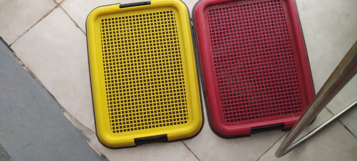 سینی دستشویی سگ سایزکوچیک|لوازم جانبی حیوانات|کرمان, |دیوار