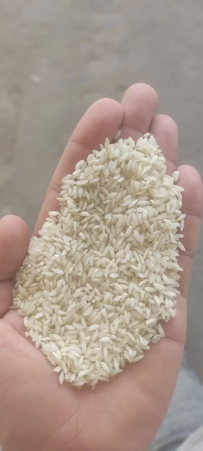 برنج عنبر بو درجه یک|خوردنی و آشامیدنی|بهبهان, |دیوار