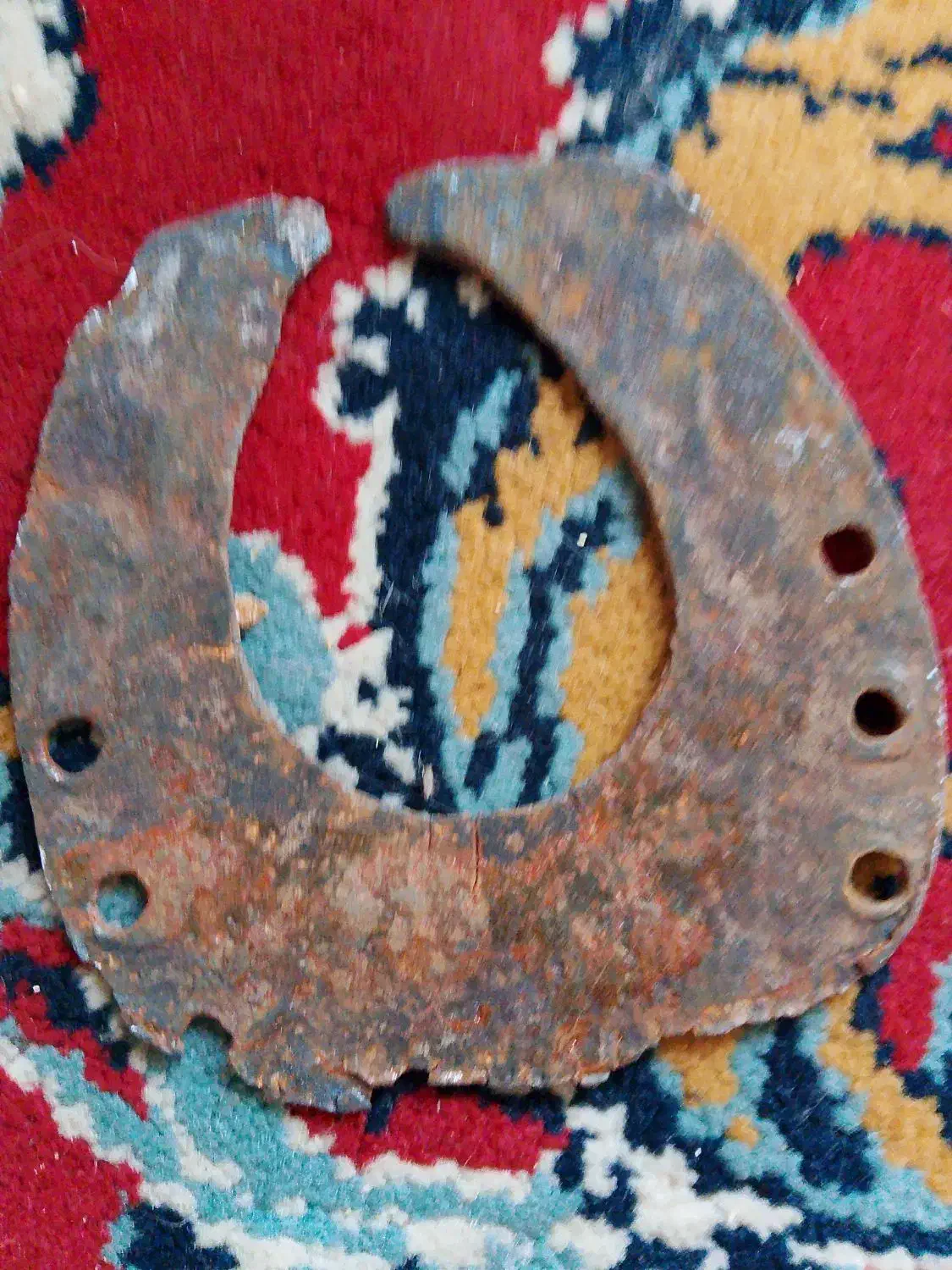 نعل اسب|اسب و تجهیزات اسبسواری|مشهد, امیر المومنین|دیوار