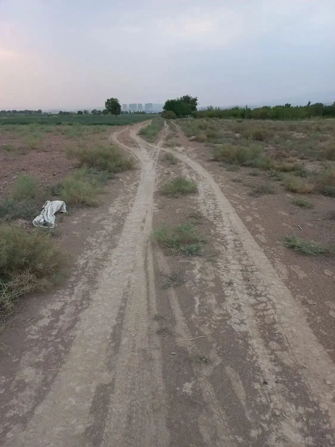 زمین مناسب باغچه-گلخانه-(فوری)|فروش زمین و ملک کلنگی|شریف‌آباد, |دیوار