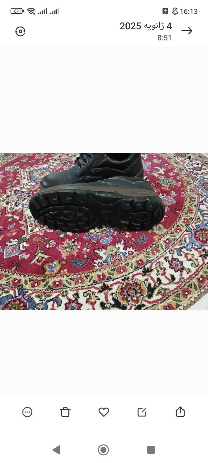 کفش ایمنی|کیف، کفش، کمربند|تبریز, |دیوار