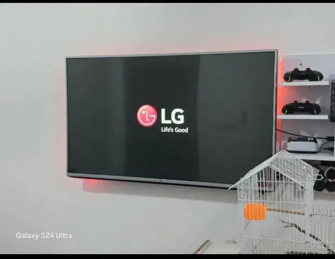 تلویزیون|تلویزیون و پروژکتور|فیروزآباد (لرستان), |دیوار