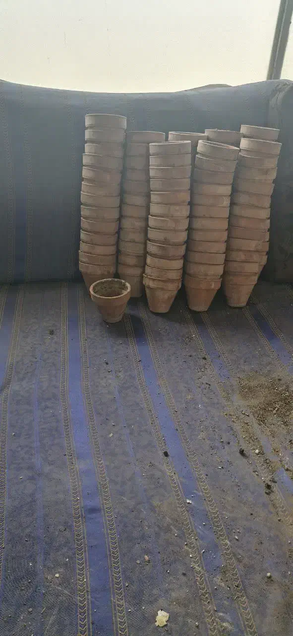 گلدان سفالی|عمده‌فروشی|ماهدشت, |دیوار