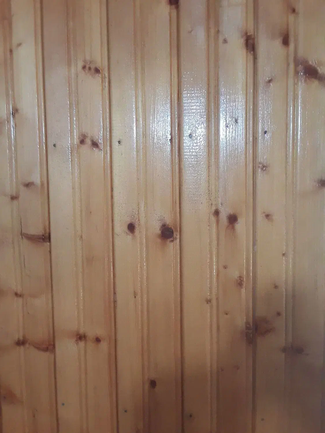 نقاشی ساختمان و نصب کمپارس|خدمات پیشه و مهارت|گرگان, |دیوار