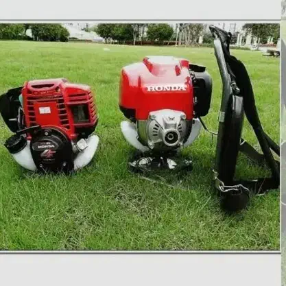 علف زنی|خدمات باغبانی و درختکاری|رشت, باهنر|دیوار