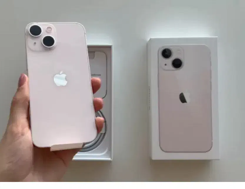 ایفون۱۳|موبایل|مشهد, رضاشهر|دیوار