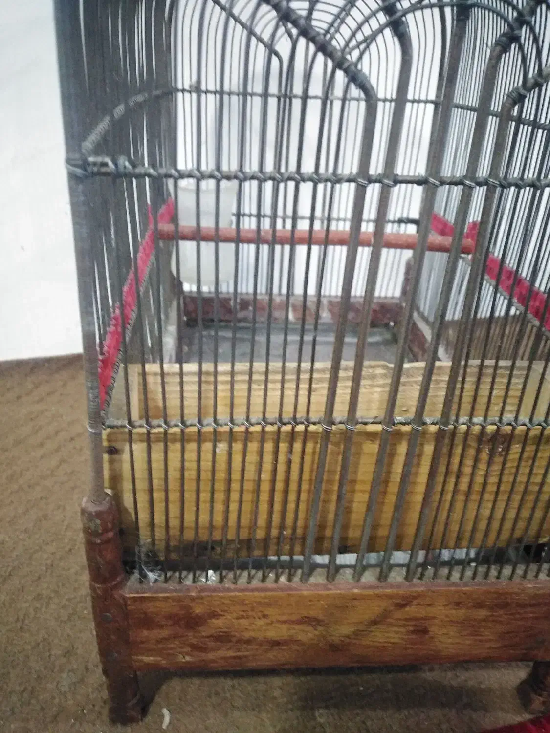 عروس هلندی ماده و قفس سهره دست ساز|پرنده|رباطکریم, شهرک والفجر|دیوار