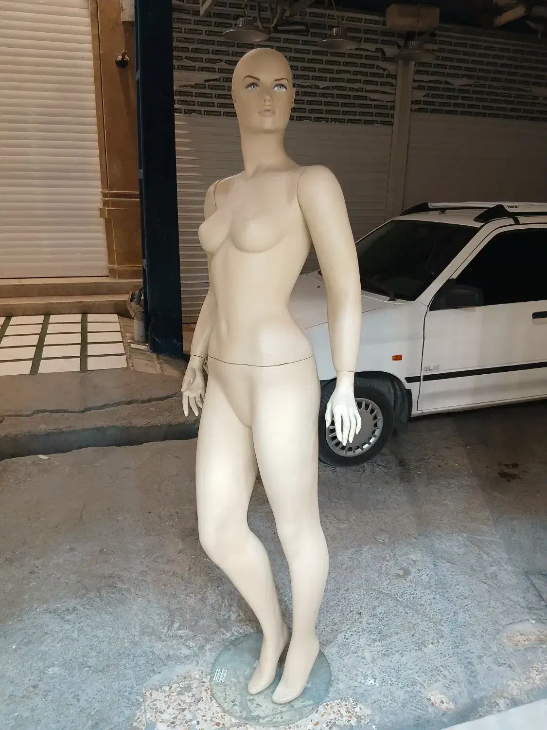 مانکن|فروشگاه و مغازه|دوگنبدان, |دیوار