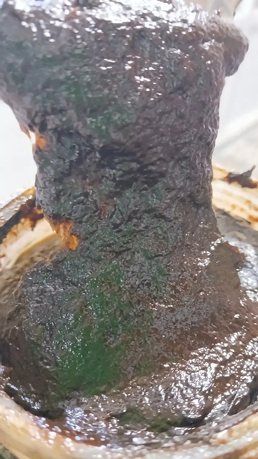 ترشی آلوچه خوشمزه و ترش صدرصد آلوچه و آبدار نیست|خوردنی و آشامیدنی|رشت, پل تالشان|دیوار