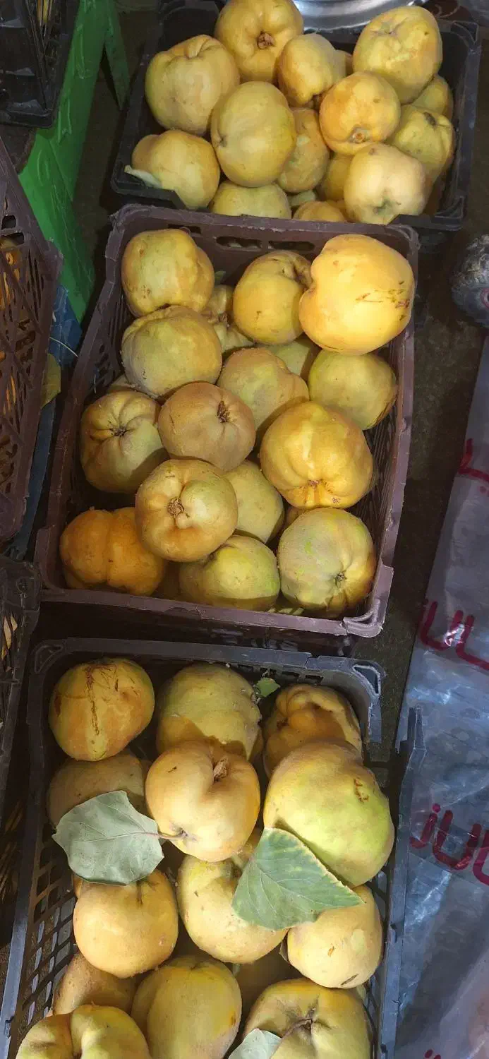 فروش به باکیفیت وارگانیک|خوردنی و آشامیدنی|یاسوج, |دیوار