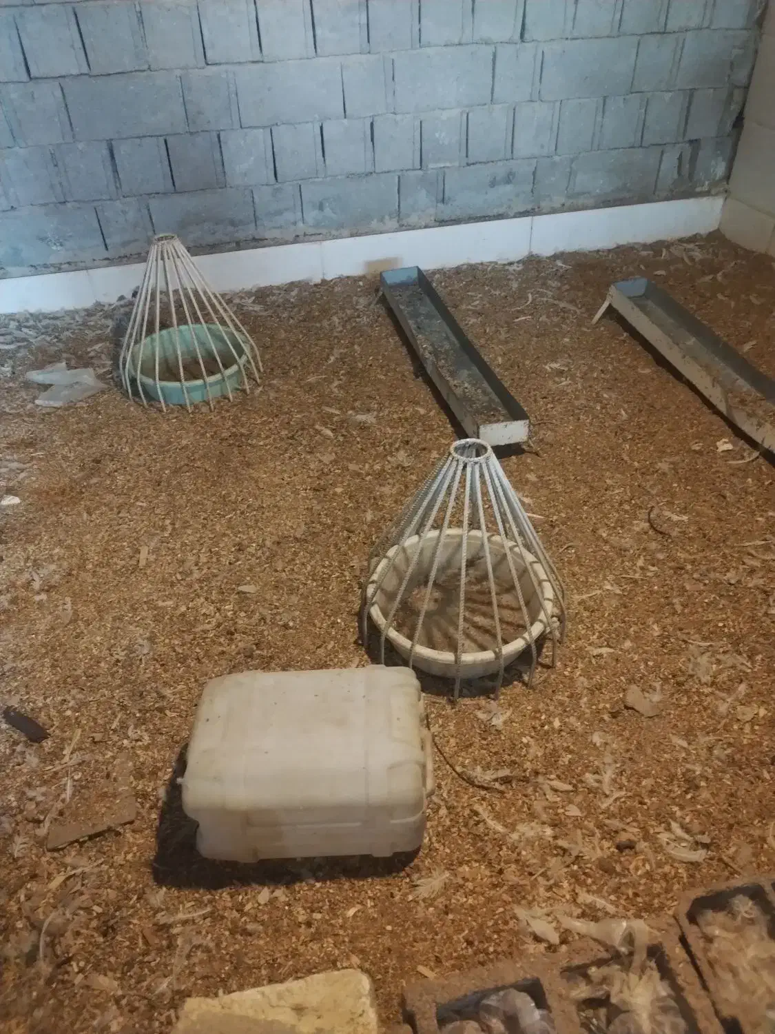 فروش کلیه وسایل کامل مرغ فروشی|فروشگاه و مغازه|کازرون, |دیوار