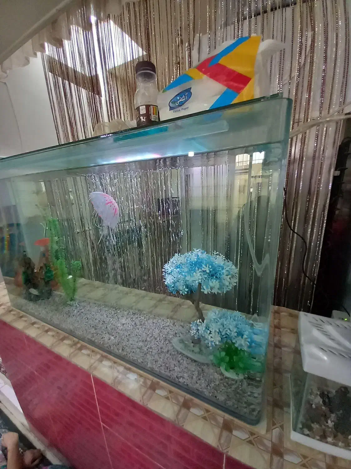 آکواریوم|ماهی|تبریز, |دیوار