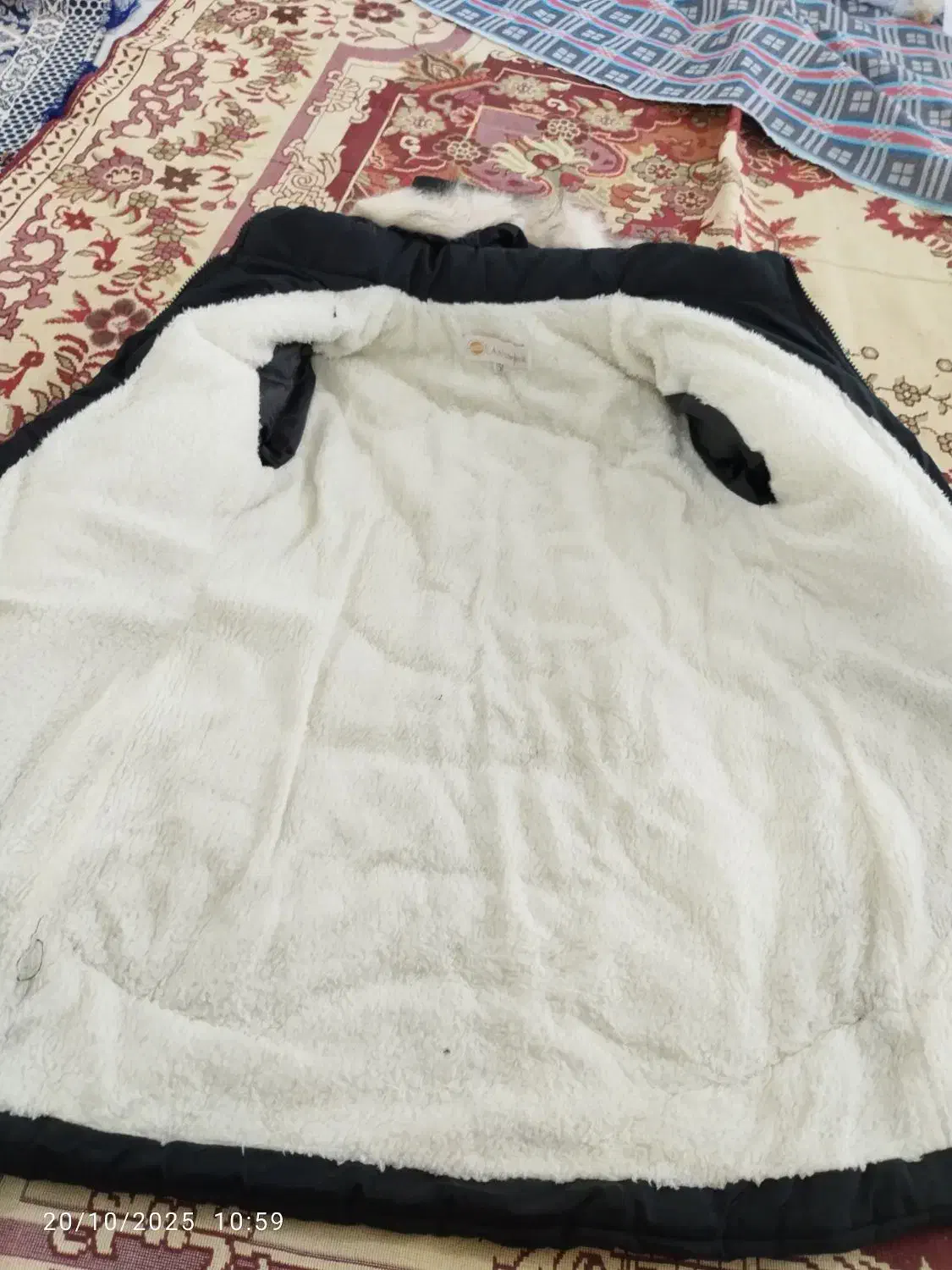 پالتودخترانه|لباس|زابل, |دیوار