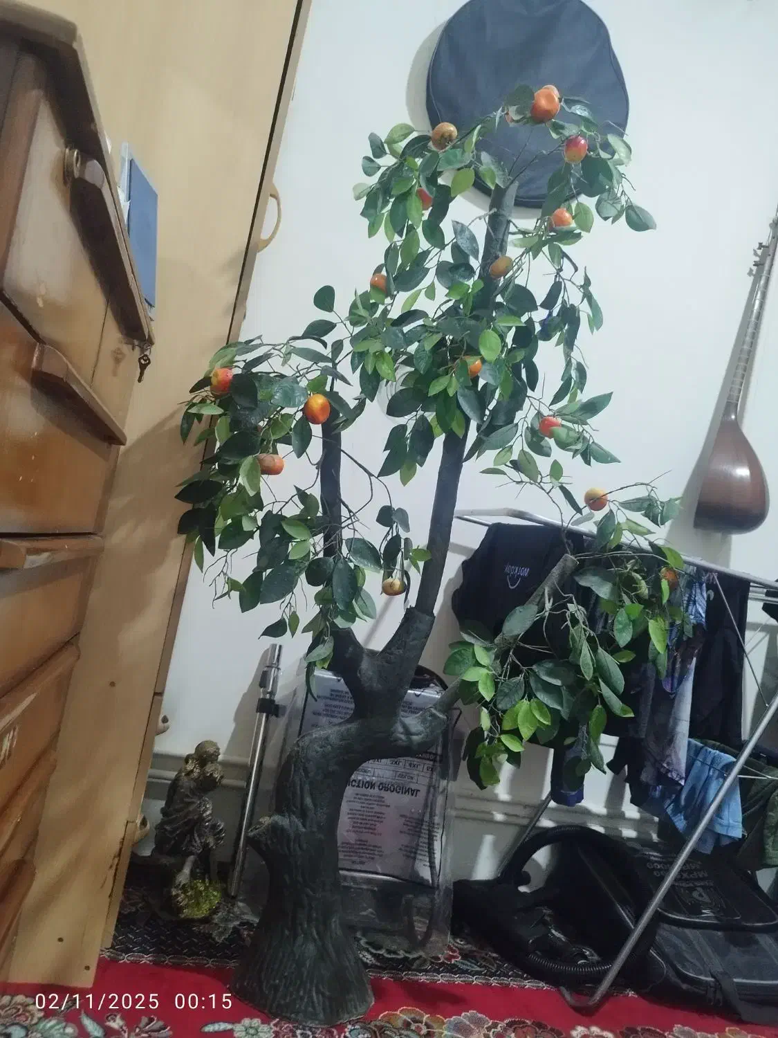 درختچه مصنوعی|گل و گیاه طبیعی|کرمانشاه, |دیوار