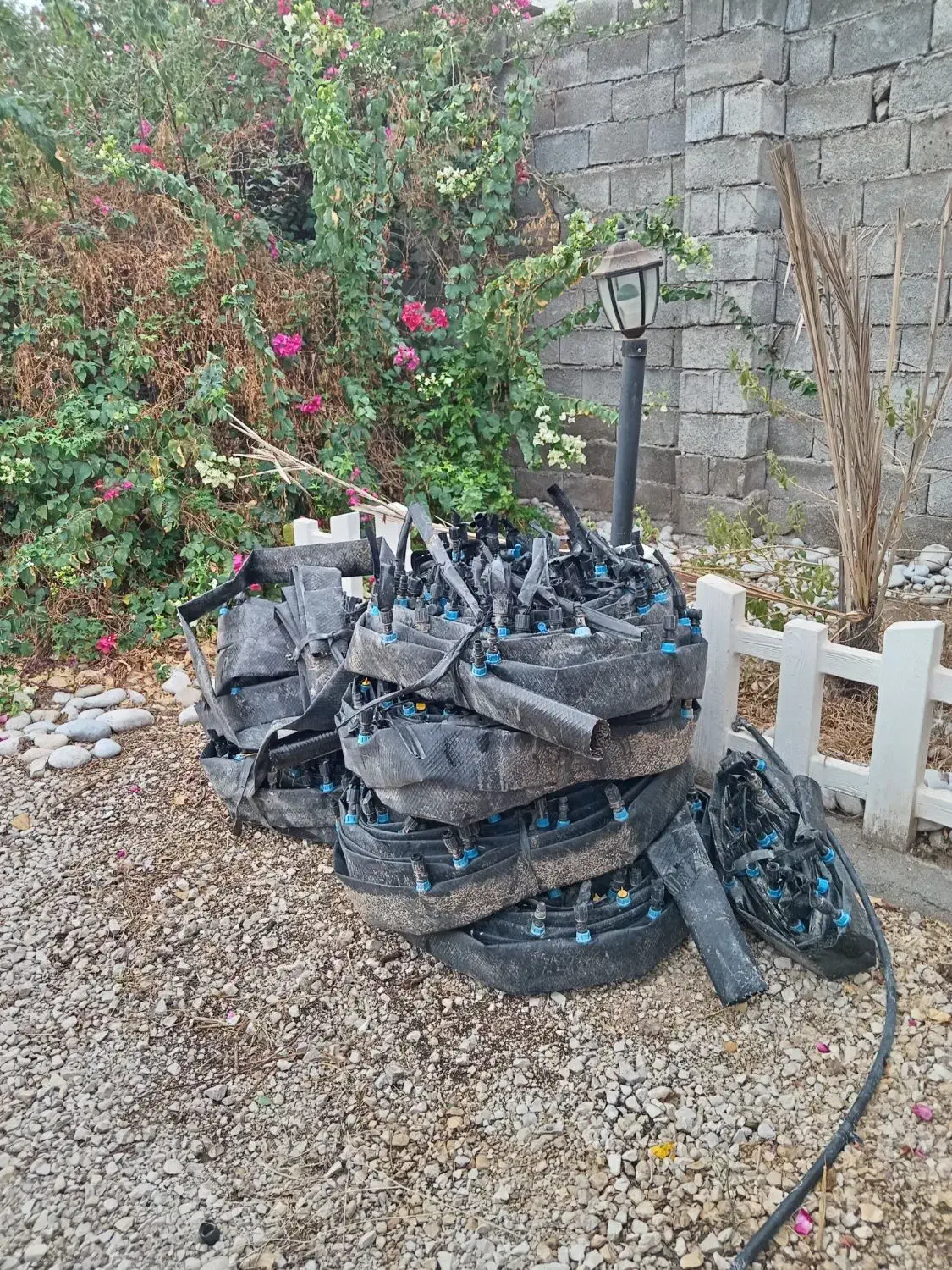 فروش لوله نخدار 2/5|خدمات باغبانی و درختکاری|برازجان, |دیوار