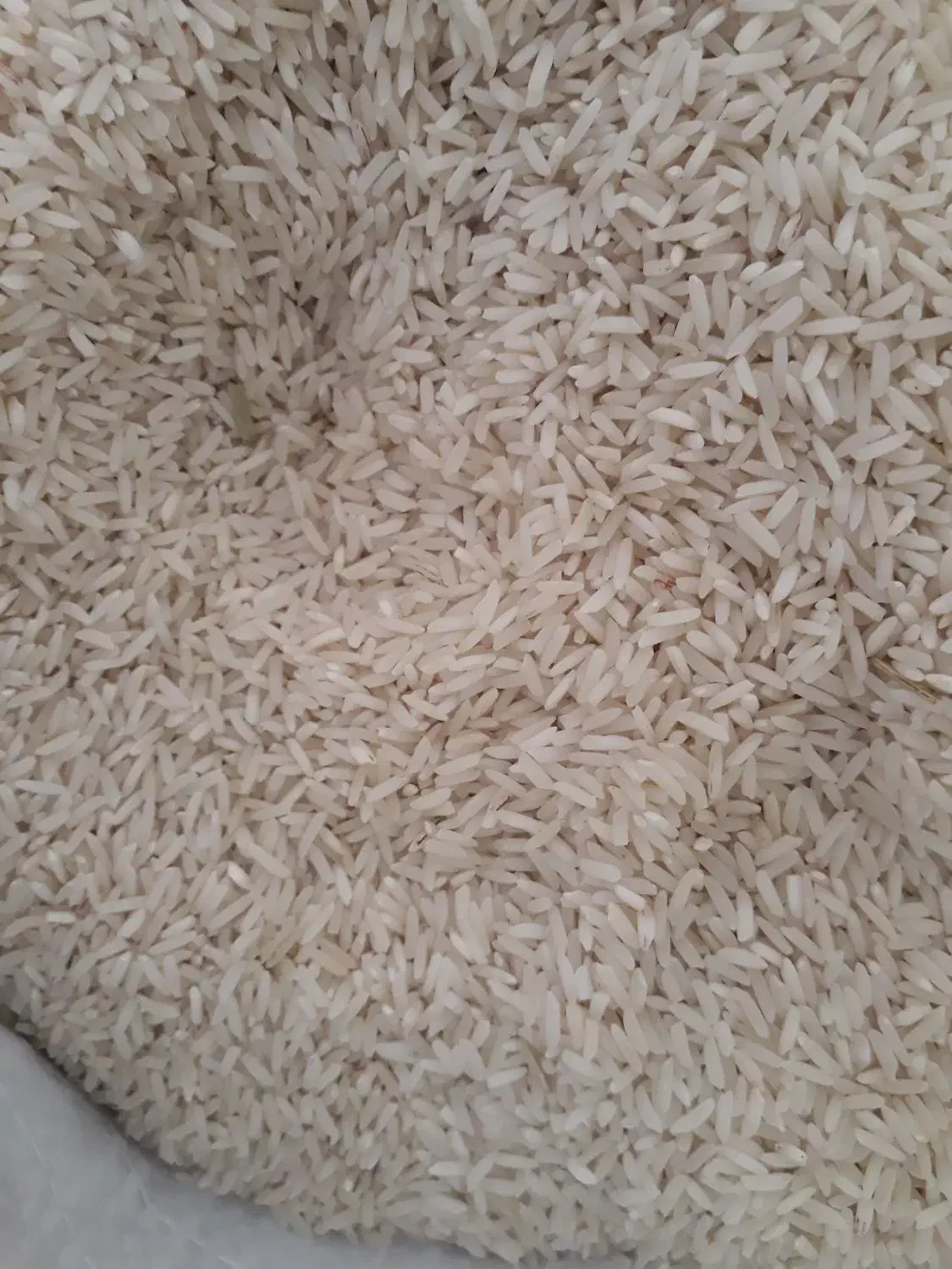 برنج فجر سوزنی دهنه محمد آباد کتول|خوردنی و آشامیدنی|علیآباد کتول, |دیوار
