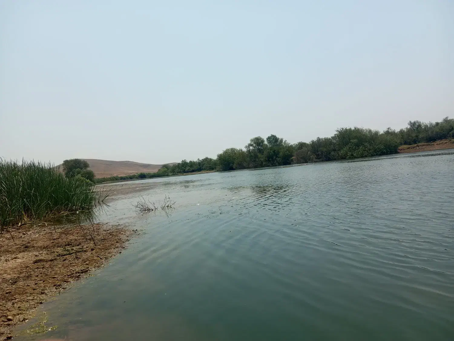 راهنمایی برای رهایی از بیکاری|فعالیت داوطلبانه|باروق, |دیوار