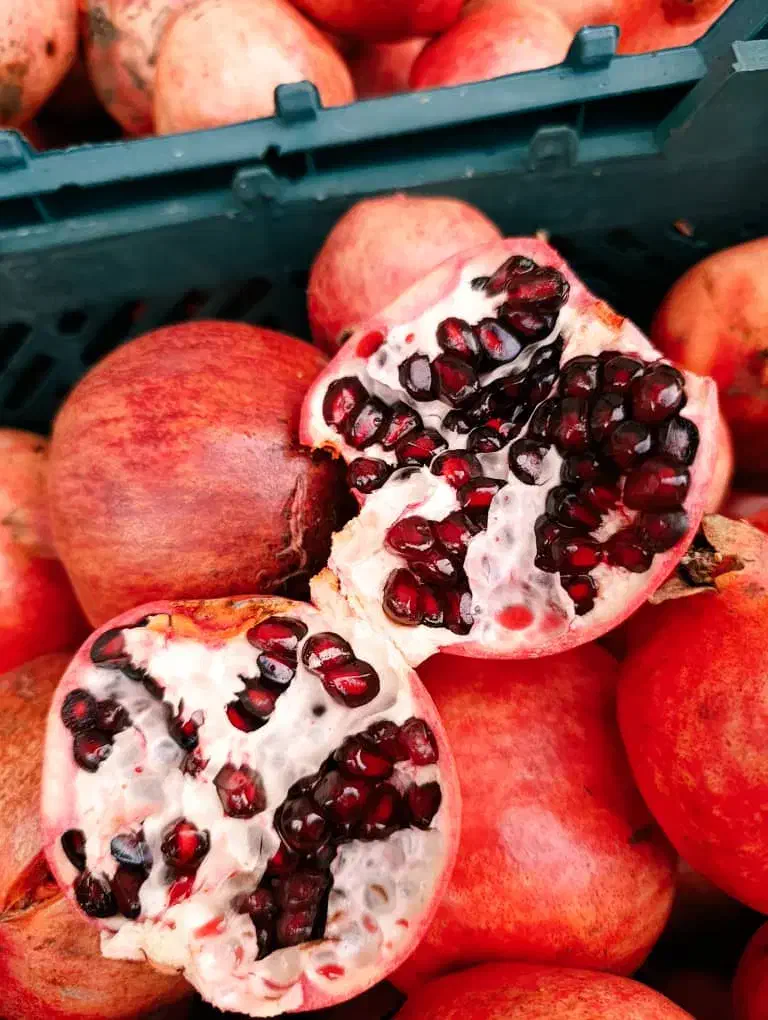 انار|گل و گیاه طبیعی|فورگ, |دیوار