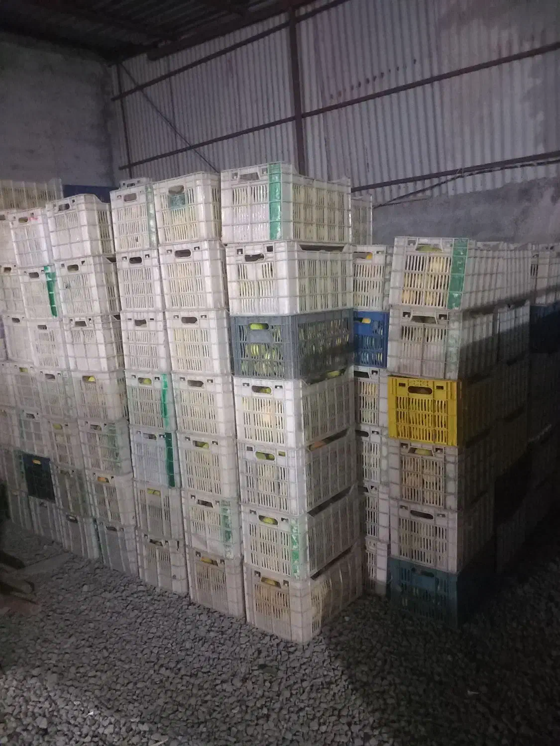 کارگر  اضافه  کار هستیم|خدمات پیشه و مهارت|کیاکلا, |دیوار