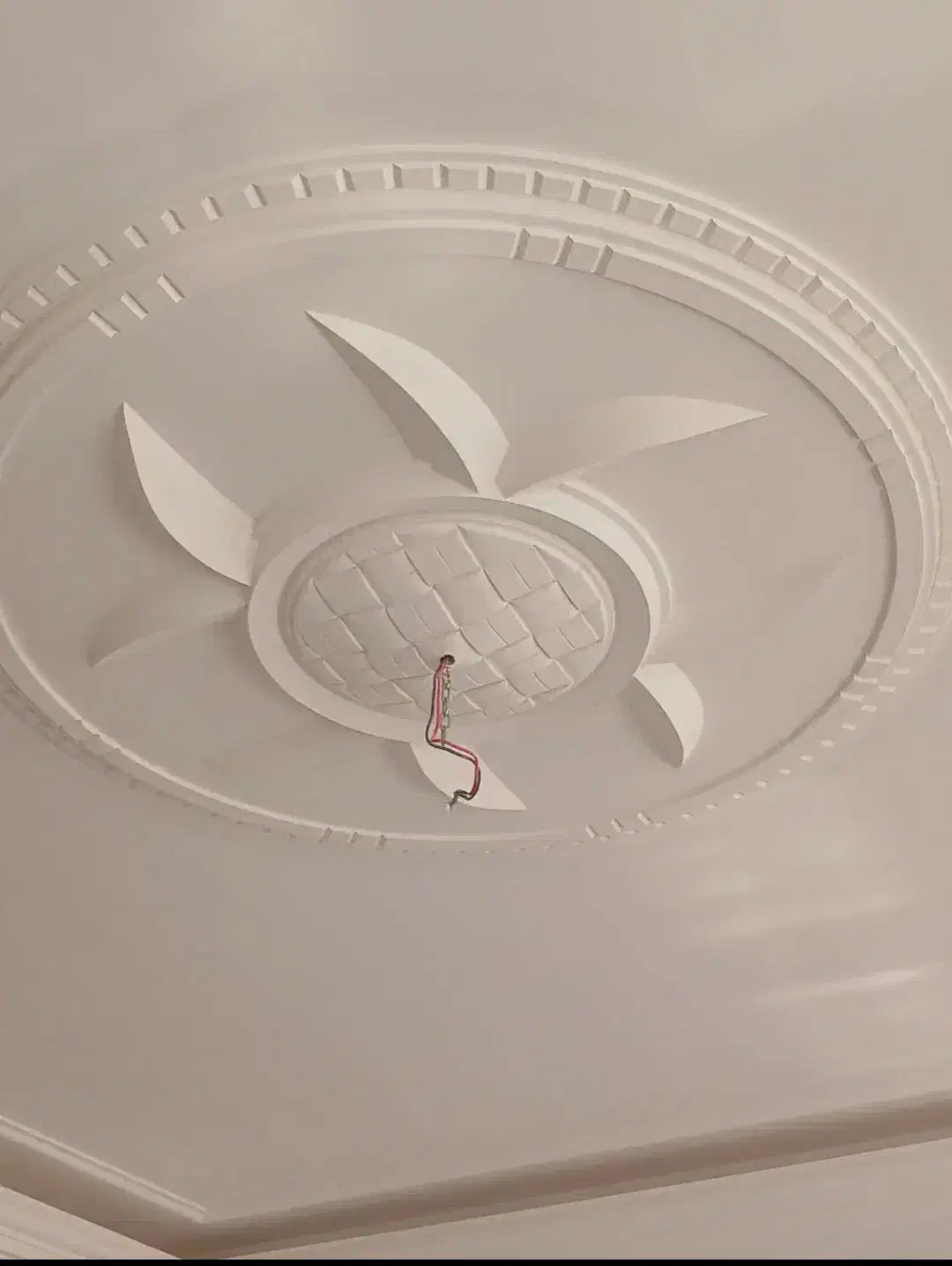 گچکاری کناف گچ کاری نقاشی وسفیدکاری،حرفه ای،همدانی|خدمات پیشه و مهارت|شیراز, قصرالدشت|دیوار