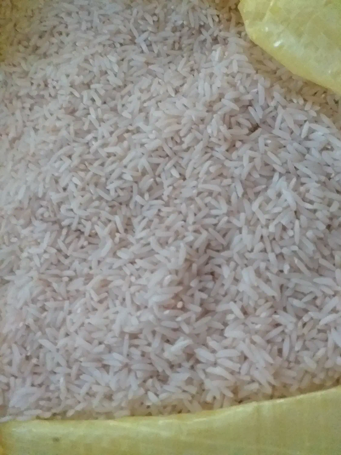 برنج هاشمی سورتینگ شده درجه ۱|خوردنی و آشامیدنی|کلاچای, |دیوار