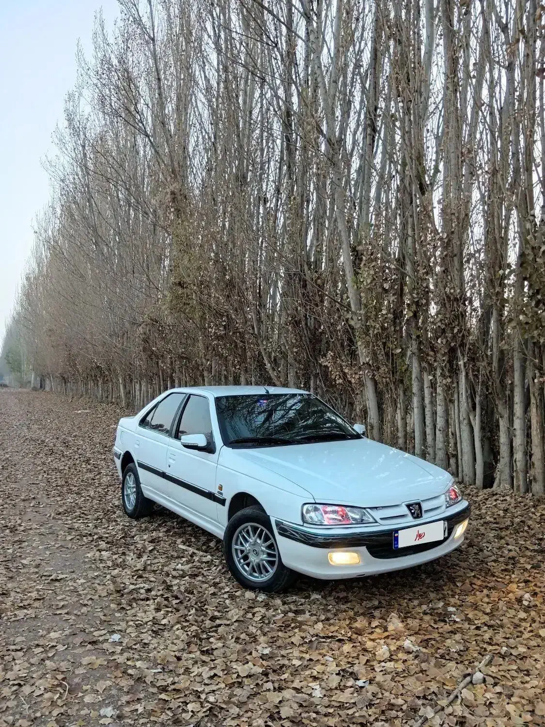 پژو پارس ۹۱ دوگانه کارخانه|خودرو سواری و وانت|باروق, |دیوار