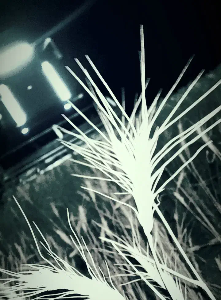 کمباین جاندیر مدل ۷۹|خودرو سنگین|ازنا, |دیوار