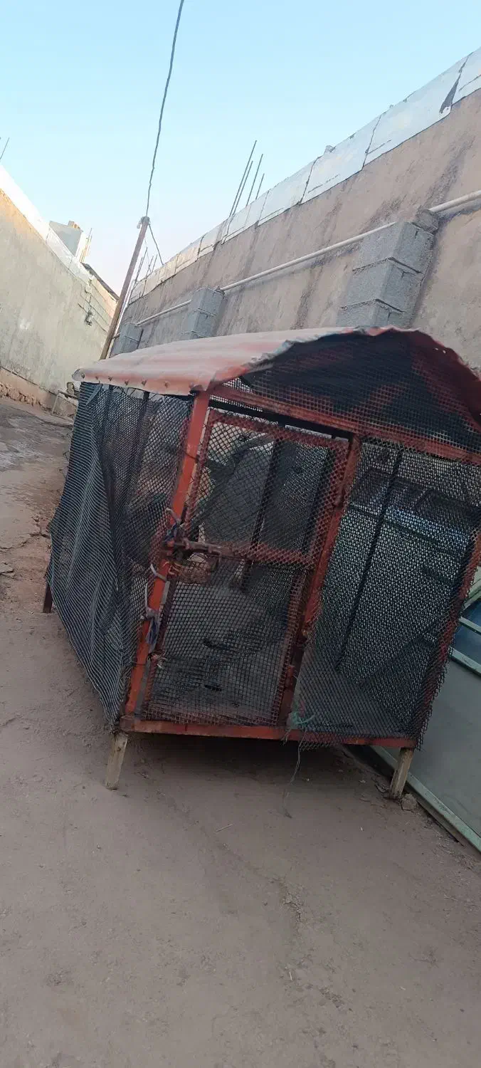 قفس|لوازم جانبی حیوانات|مسجد سلیمان, |دیوار