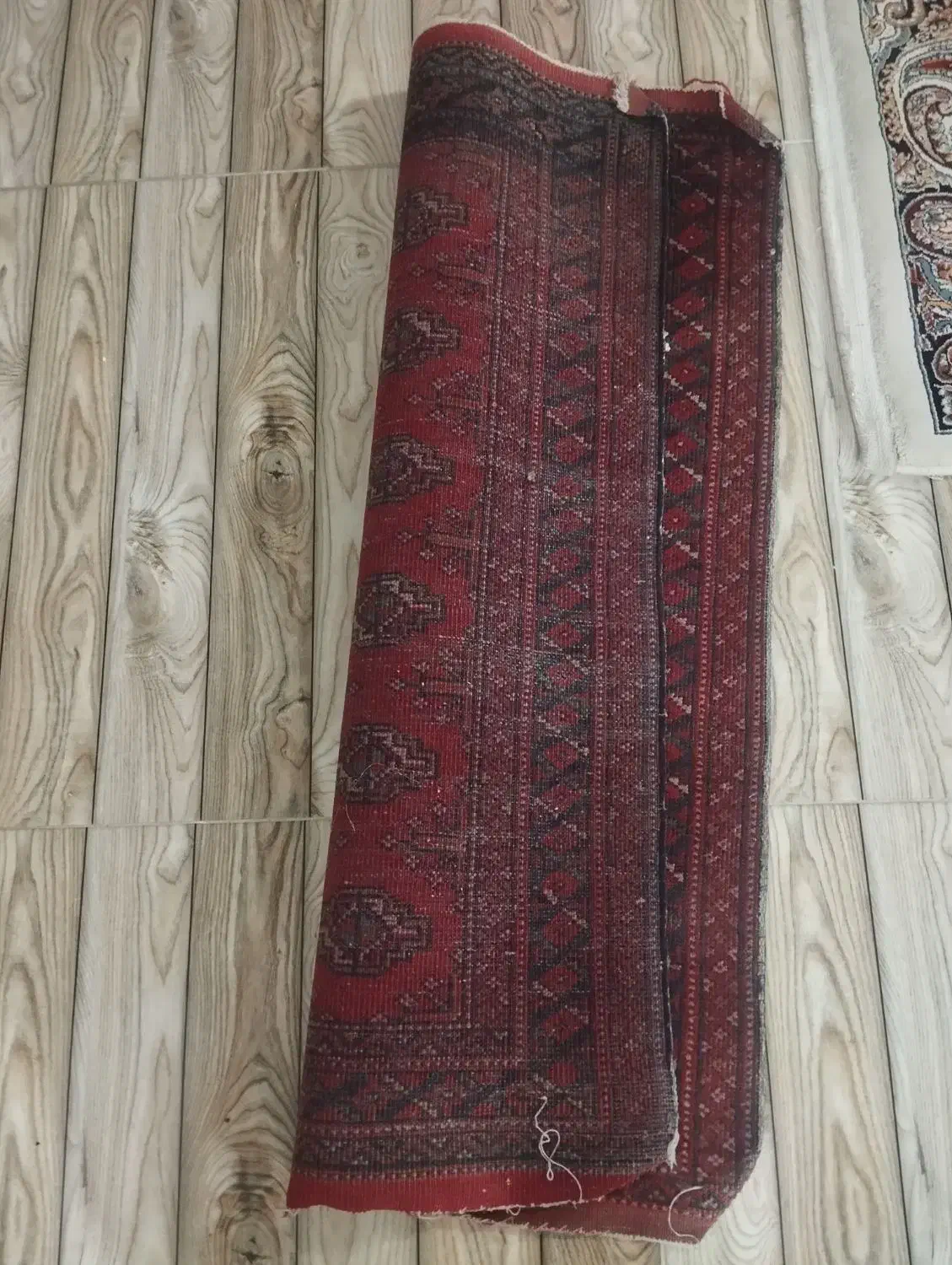 گلیم پادری|گلیم، جاجیم، گبه|شیروان (خراسان), |دیوار