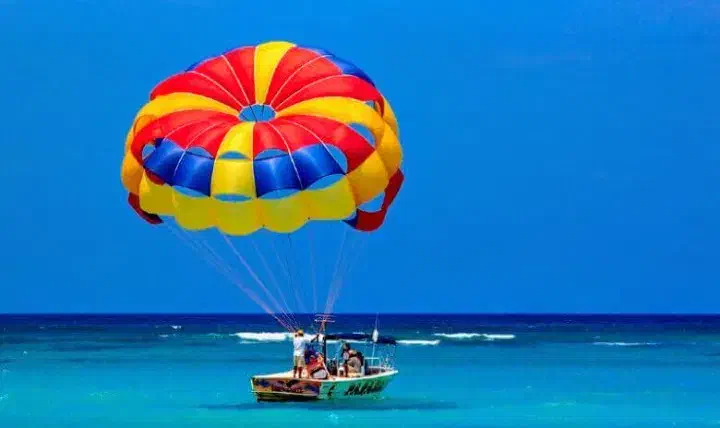 رزو تفریحات گردشگری(اقتصادی)|تور و چارتر|کیش, |دیوار