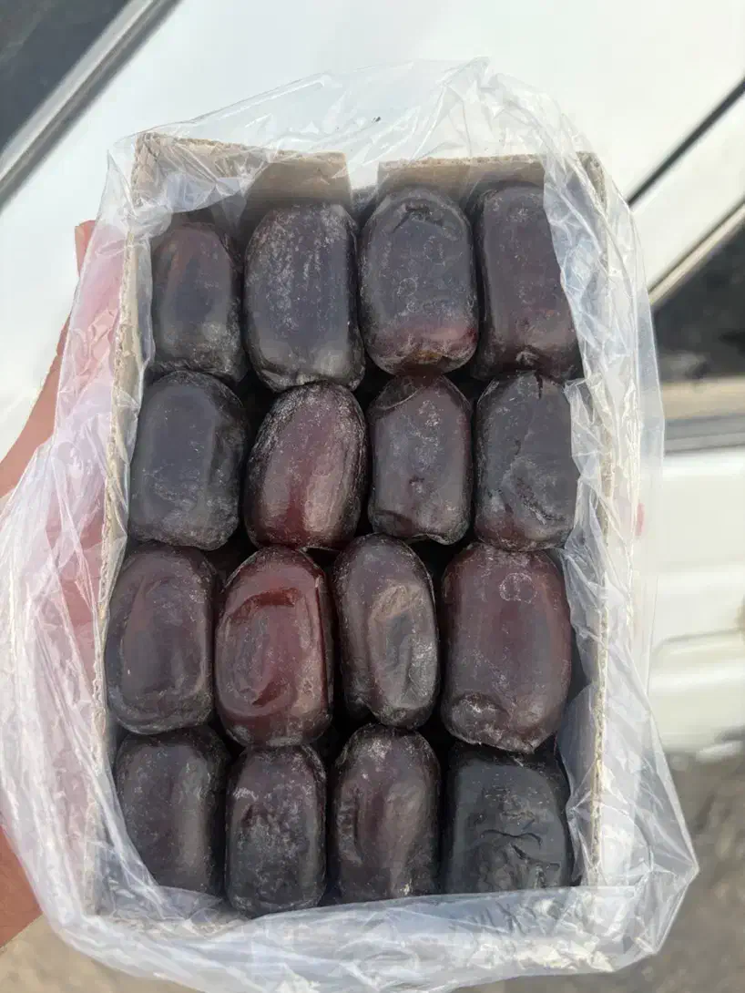 خرما|خوردنی و آشامیدنی|شیراز, آزادی|دیوار