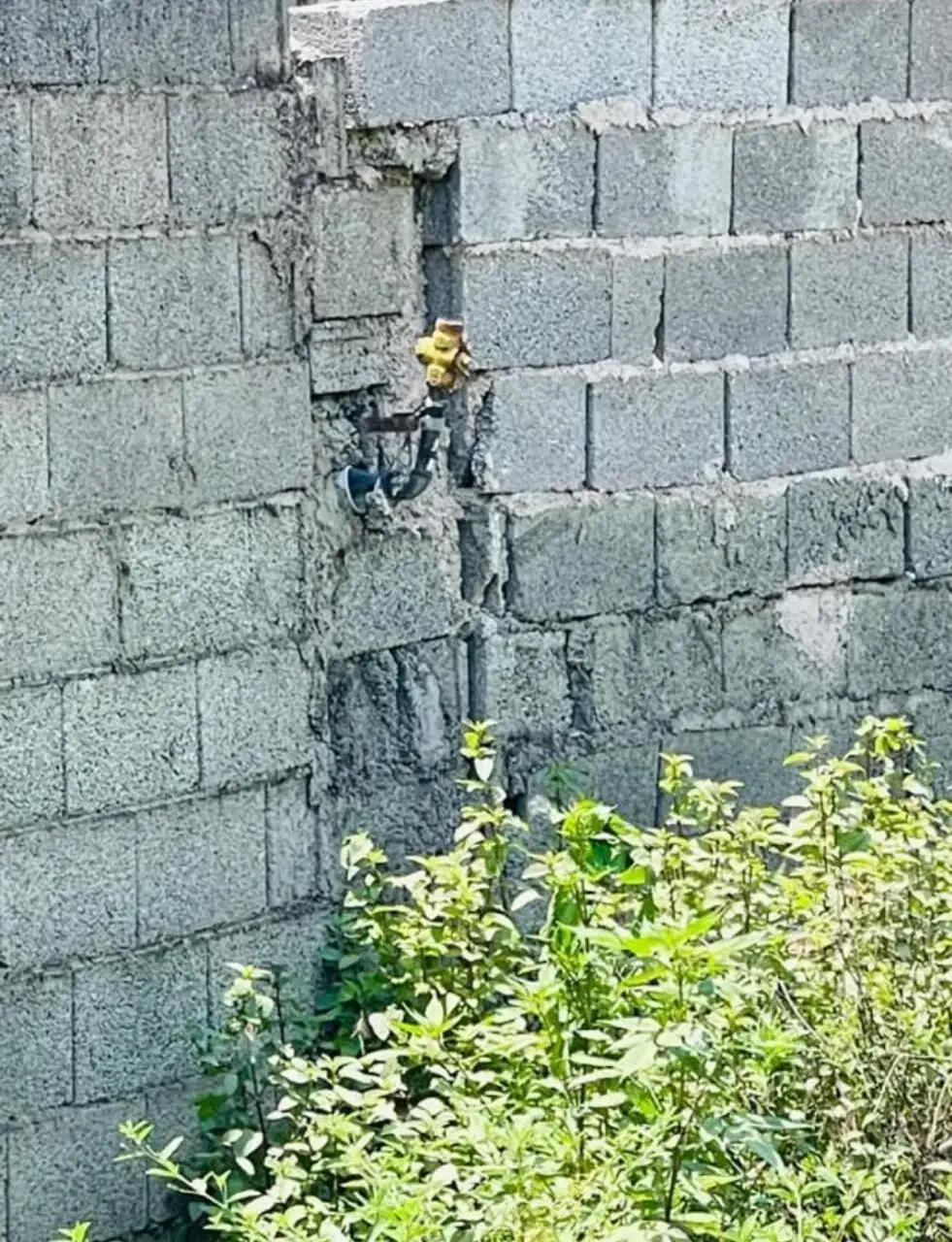 فروش ویلای 310 متری در اطراف احمدسرگوراب|فروش زمین و ملک کلنگی|احمدسرگوراب, |دیوار