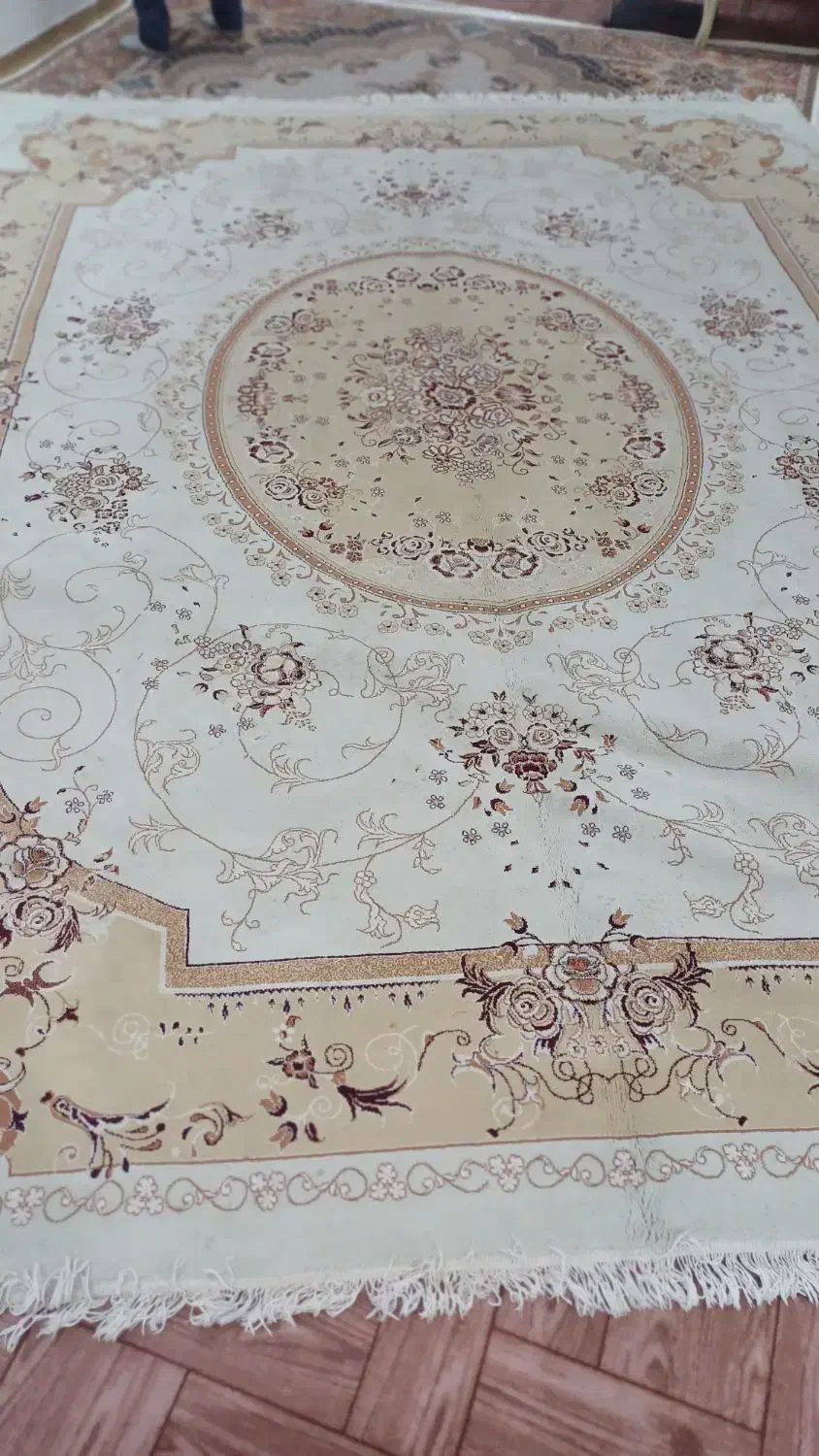 دوجفت فرش 12متری|فرش|پارس‌آباد, |دیوار