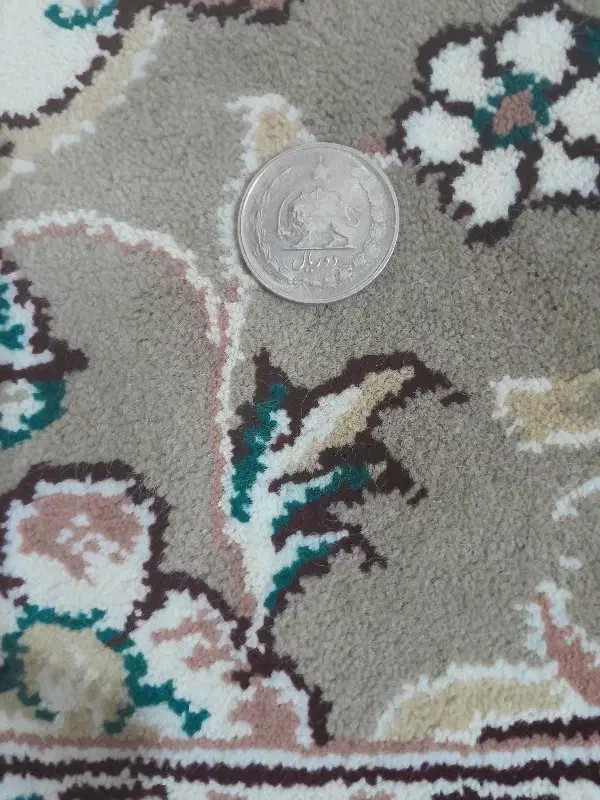 سکه شاهی شیر و خورشید|جواهرات|اصفهان, خواجو|دیوار