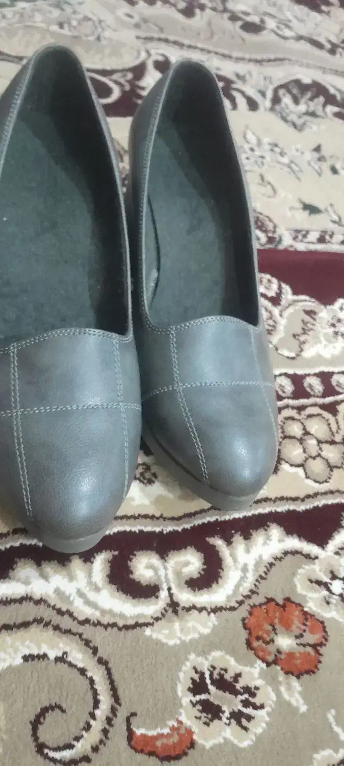 کفش زنانه مجلسی|کیف، کفش، کمربند|آبدانان, |دیوار