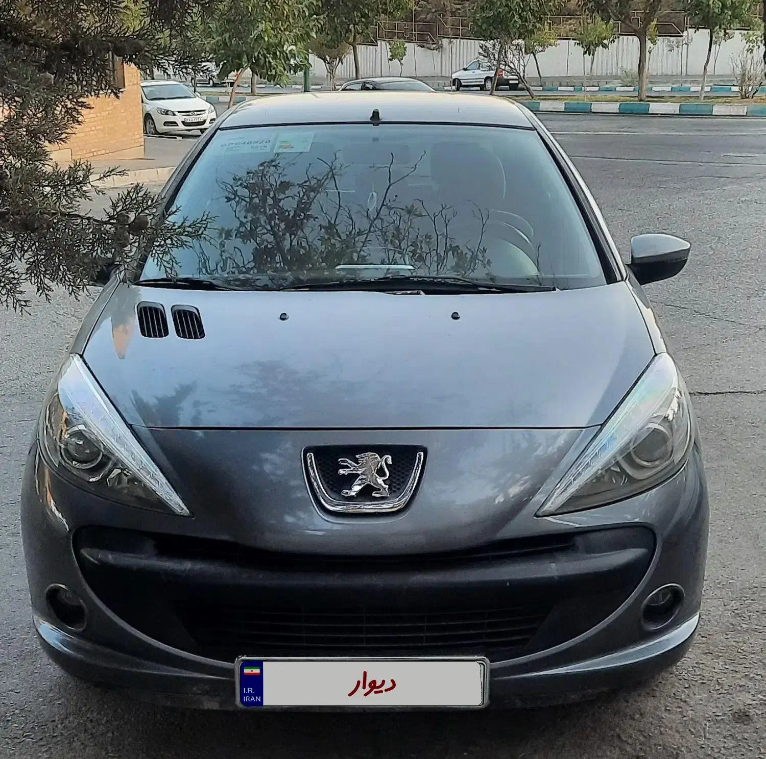 ۲۰۷ مدل ۹۰ TU5 فرانسوی|خودرو سواری و وانت|شیراز, شریفآباد|دیوار