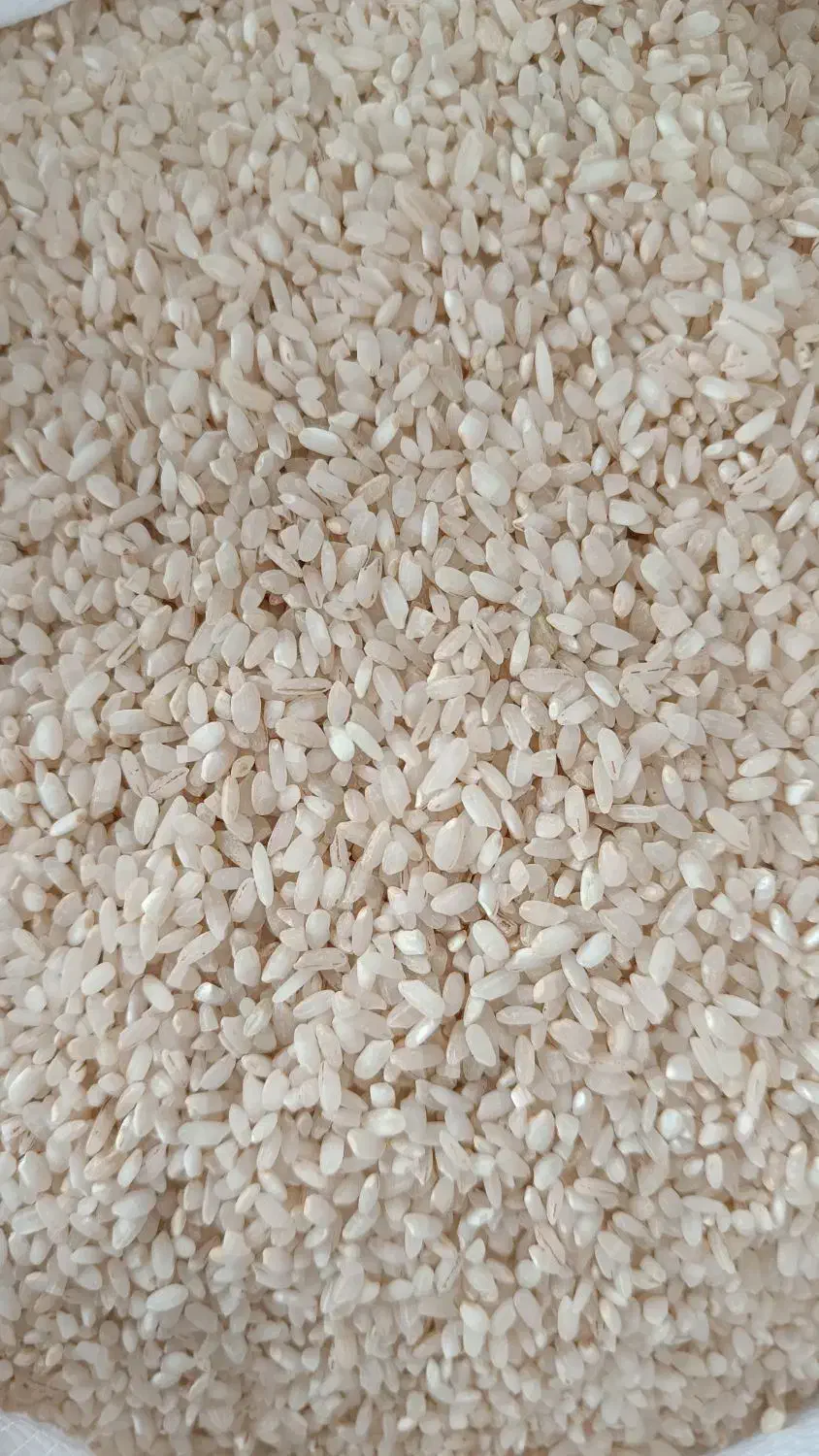 برنج گرده سید آباد کیاسر|خوردنی و آشامیدنی|ساری, |دیوار