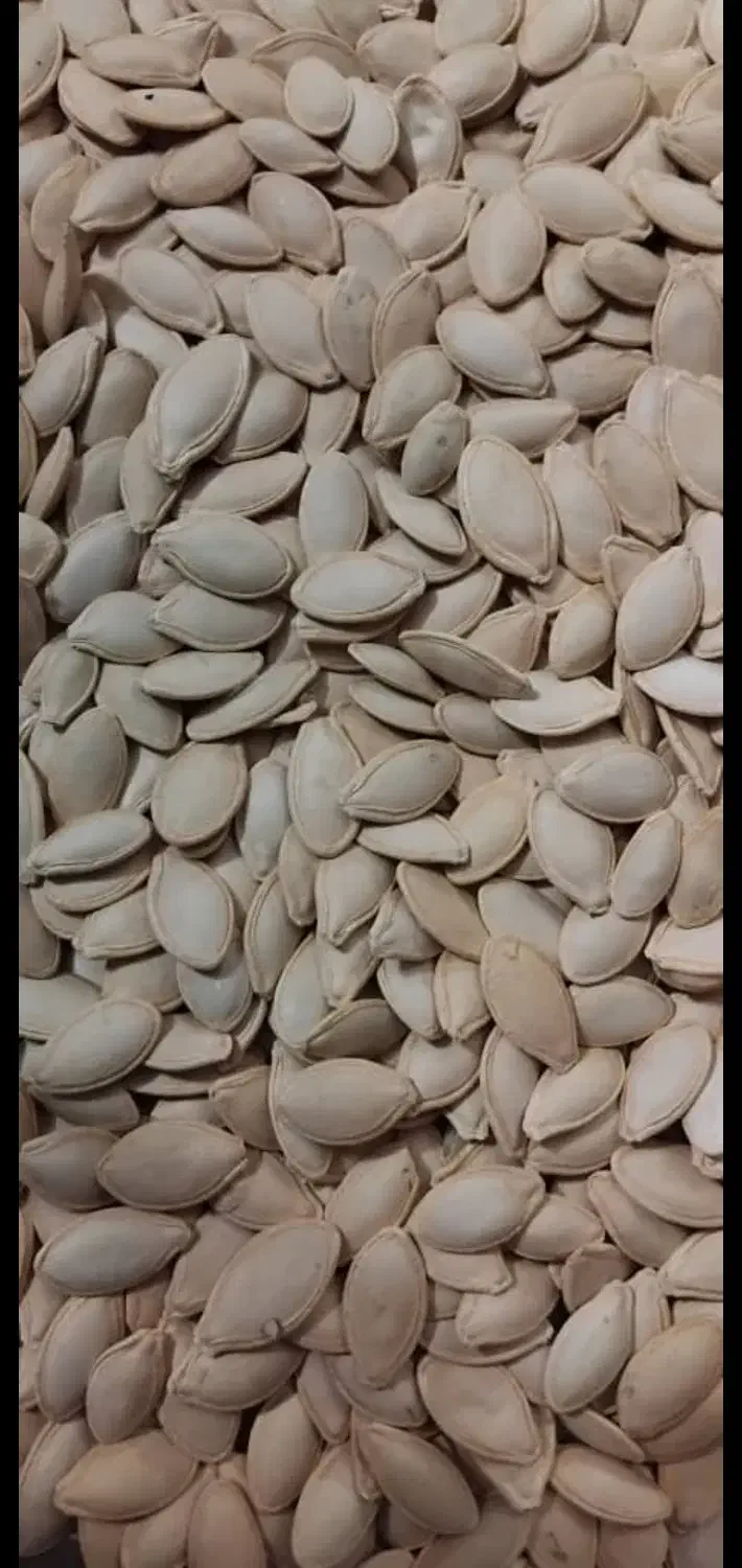 کدو گوشتی|عمده‌فروشی|شیراز, شهرک ایثار|دیوار