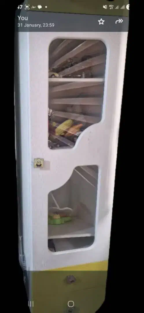 تخت و کمد کودک و نوجوان|تخت و سرویس خواب|تهران, سازمان برنامه جنوبی|دیوار