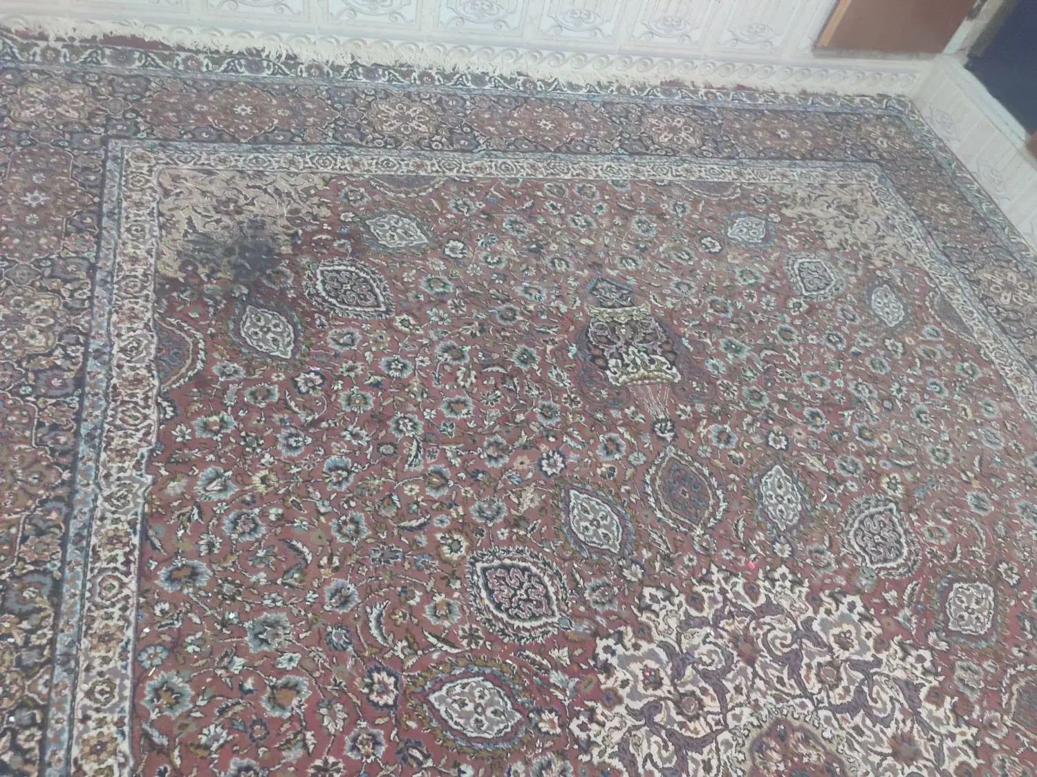 فرش 12متری|فرش|شیراز, دست خضر|دیوار