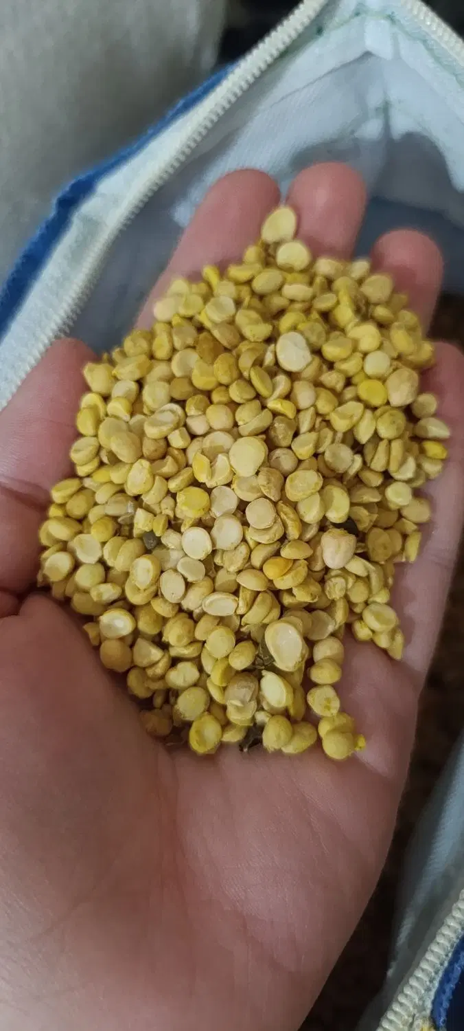حبوبات|خوردنی و آشامیدنی|صالح آباد, |دیوار