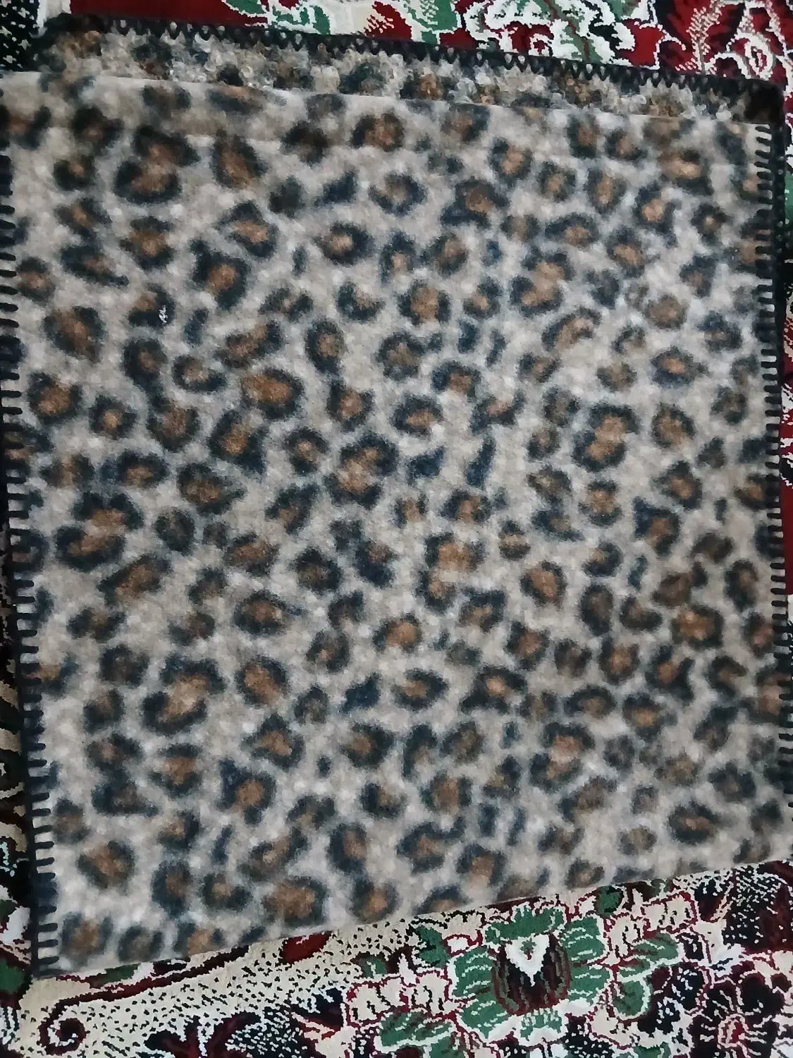 پلنگی|لباس|قم, ولیعصر|دیوار