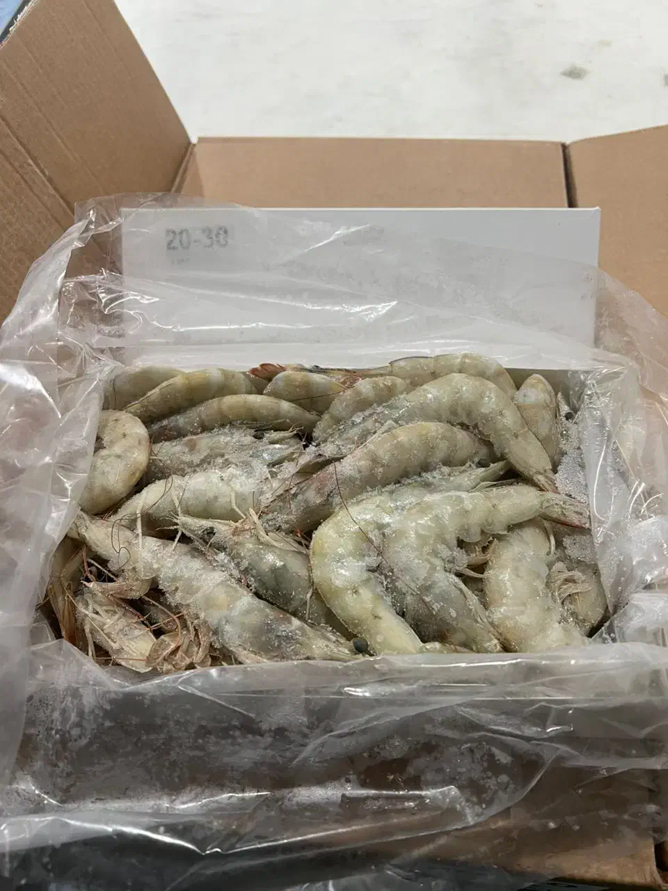 میگو باسر پرورشی|عمده‌فروشی|تهران, حر|دیوار