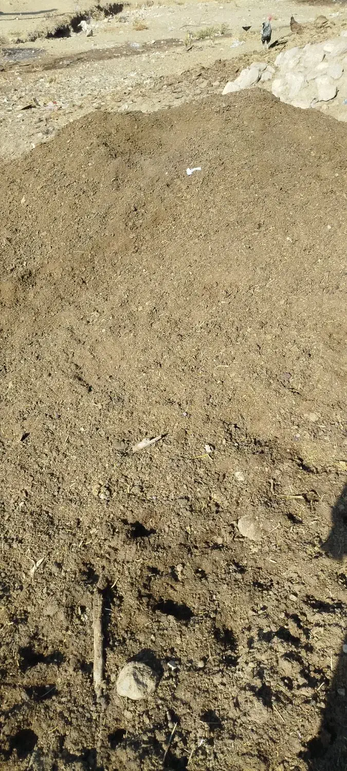 ارسال کوت حیوانی به سراسرکشور|خدمات باغبانی و درختکاری|زاغه, |دیوار