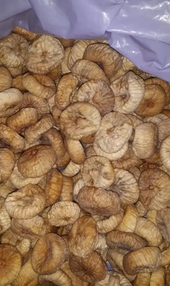 پرکاشن انجیل درشت تمیز سالم برای یلدا ۱۸۰تومن|درام و پرکاشن|زنجان, |دیوار