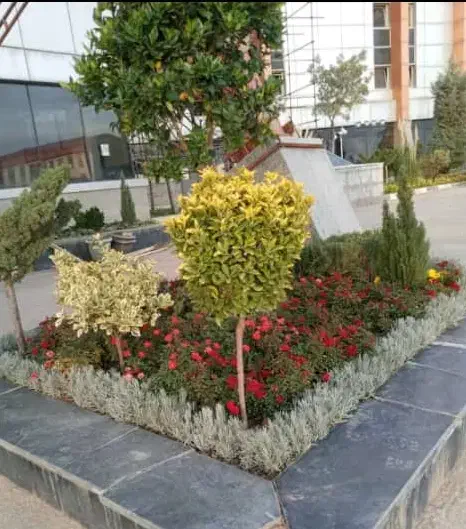 خدمات باغبانی باغچه کاری گلکاری کاشت گل وگیا خاک|خدمات باغبانی و درختکاری|شهریار, شهرک وائین|دیوار