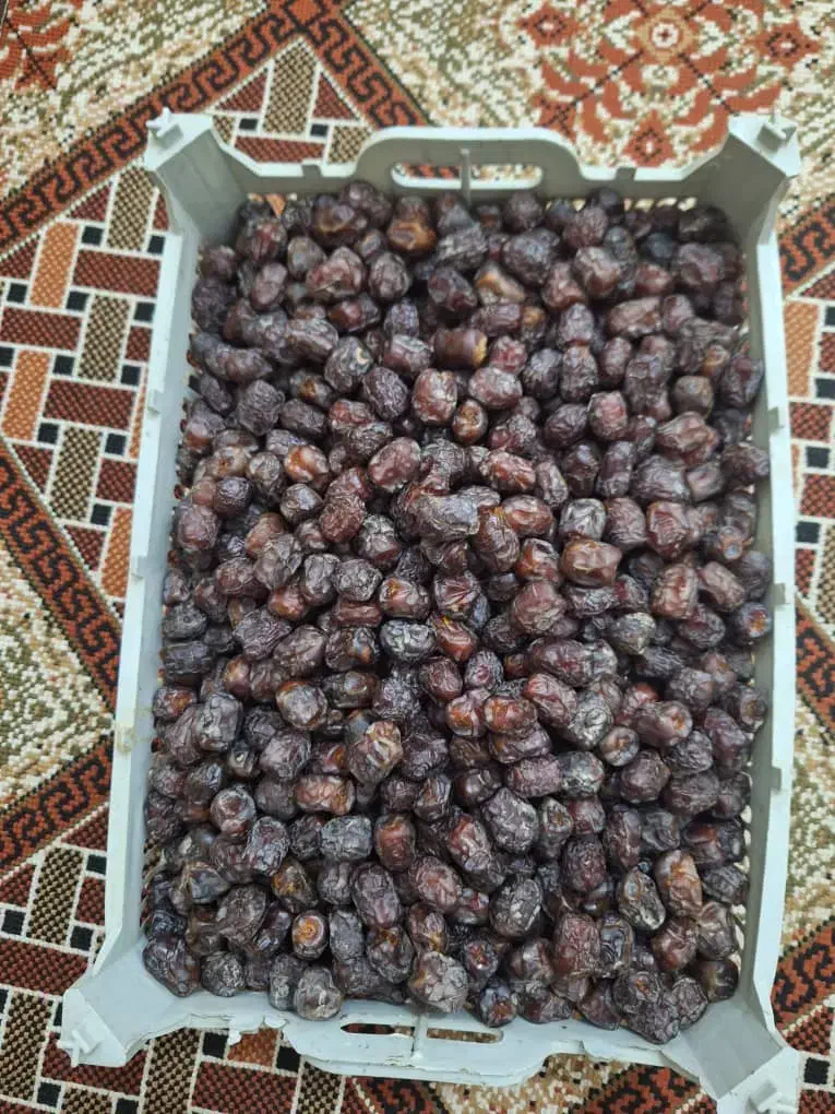 خرما خنیزی.  کلوته|خوردنی و آشامیدنی|رودان, |دیوار