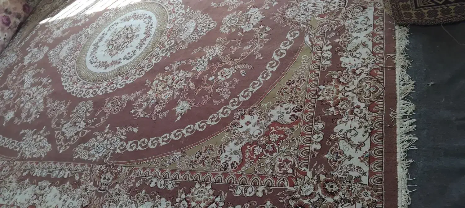 فروش فوری قالی 12متری 12شانه|فرش|تربت جام, حافظ|دیوار