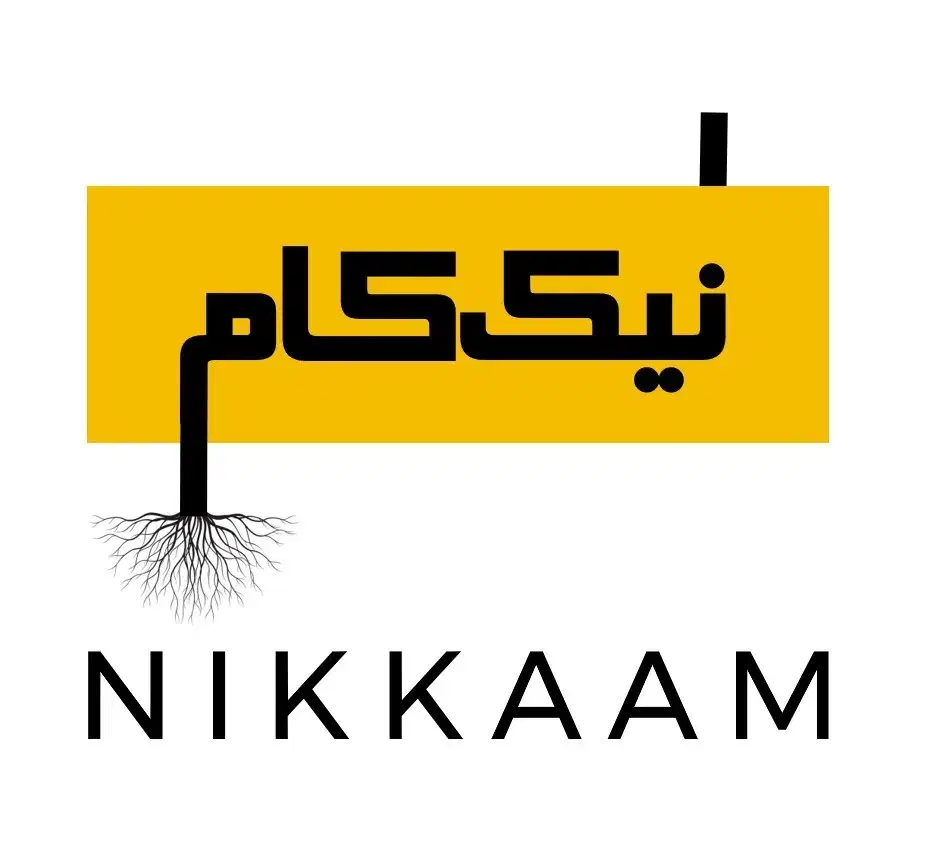 نوسازی، بازسازی و نعمیرات تخصصی ساختمان|خدمات پیشه و مهارت|لاهیجان, شقایق|دیوار